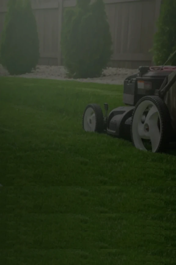 Image of lawnmower