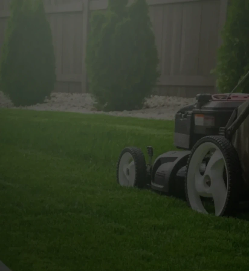 Image of lawnmower